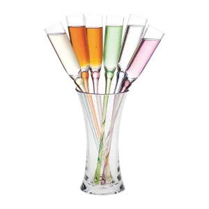 Ambiance Champage Set 6 Pcs