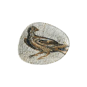 Mesopotamia Pajaro Vago Flat Plate 19 cm